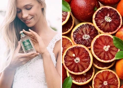 Аромат дня: Stimulating Blood Orange & Basil от 4711 Acqua Colonia