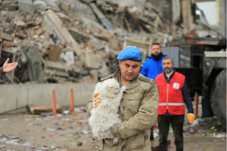 Апокалипсис в прямом эфире: мир следит, как в Турции из-под руин спасают детей и животных