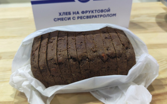 На вид как «Бородинский»: в Челябинске представили необычное средство для помощи пациентам с ПТСР