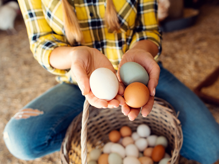 Что произойдет, если есть по 3 яйца каждый день