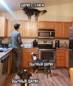 29 картинок месяца и душный виски