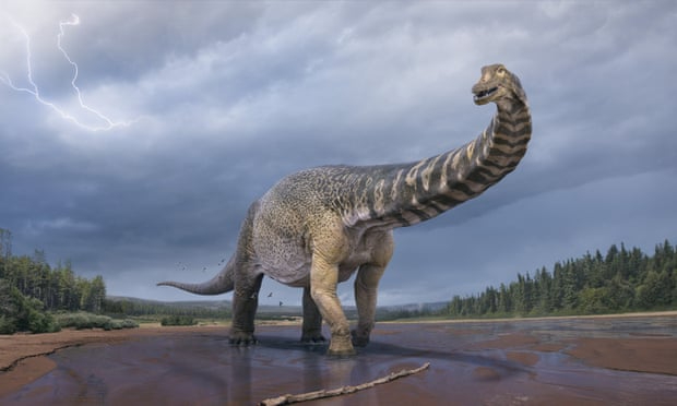 В Австралии вычислили вес самого большого динозавра