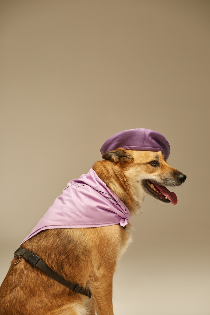 Крупным планом: благотворительная коллаборация Cocoshnick Headdress x Brand&Dogs