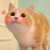 Аватарка Котик Рыбка