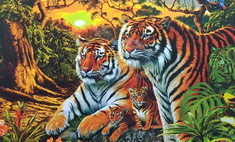 Суровая загадка: отыщи 16 тигров на картинке