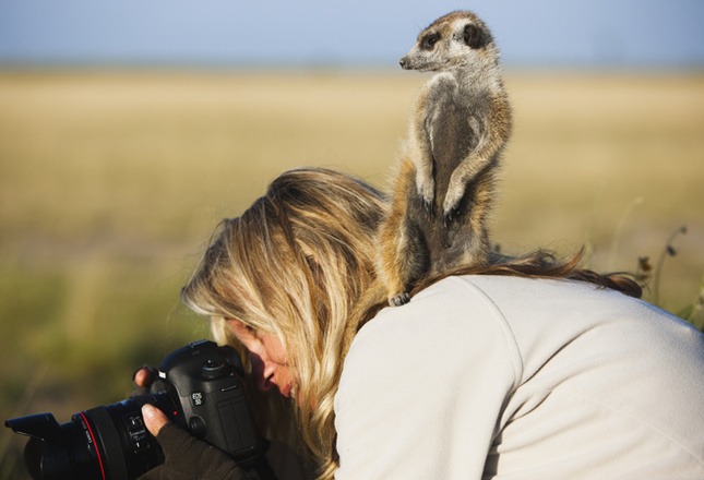 Самые милые животные фото