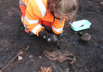 Рядом топор и кости: в Дании нашли очередное «болотное тело» возрастом 5000 лет