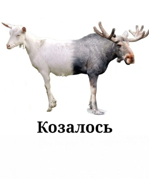 16 картинок недели и сосидр