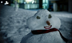 Снеговики-трешевики (галерея идей для вдохновения)