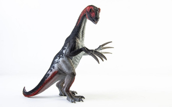 Опознали по зубам: динозавр с лапами-ножницами оказался «гражданином мира»