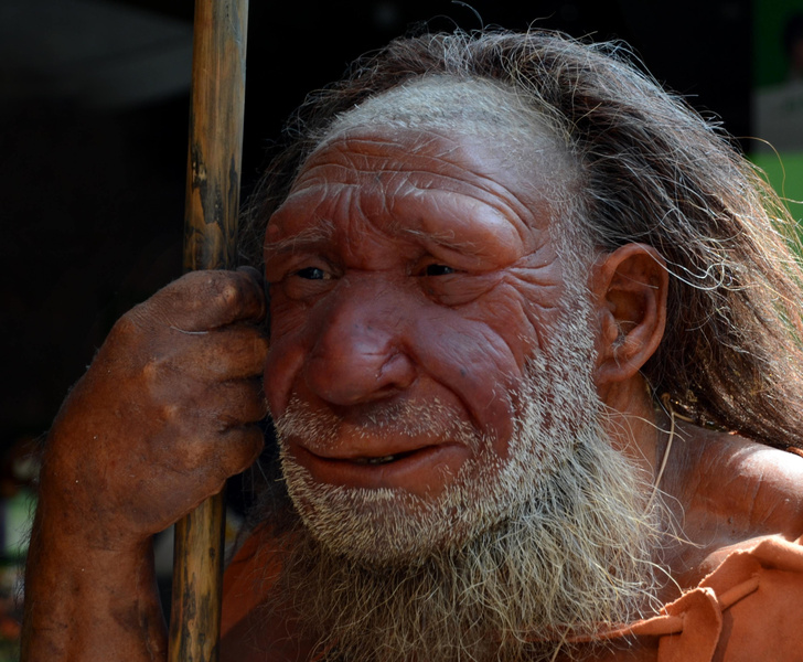Неандертальцы подсказали причину боли в пояснице у современных людей