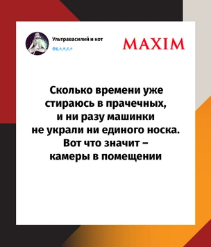 Шутки недели и вероятность кабачка
