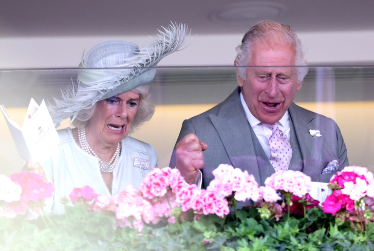 Шляпки в форме чашек, мемные лица Карла III и Камиллы. Как проходят королевские скачки Royal Ascot