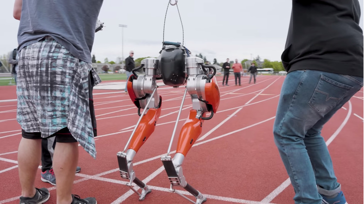 Беги, Кэсси, беги: как робот-страус обогнал андроидов на 100-метровке
