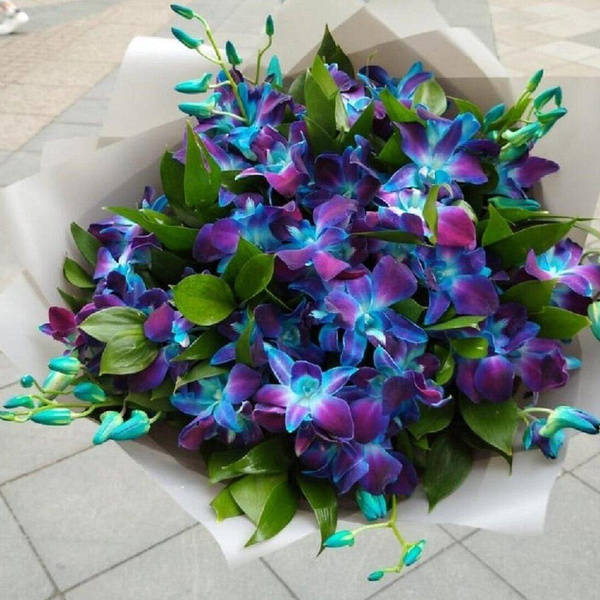 Букет синих орхидей с рускусом, Almond Roses