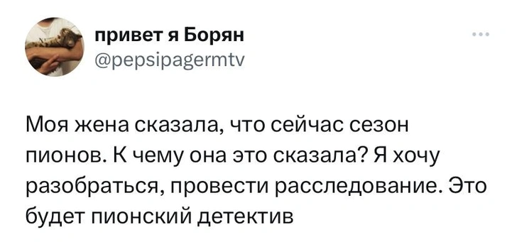 Шутки пятницы и приложение «Где сейчас Пугачева»