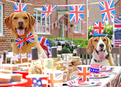 Как выглядят любимые собаки членов британской королевской семьи: 10 умилительных фото