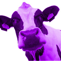 Аватарка pinkmilk