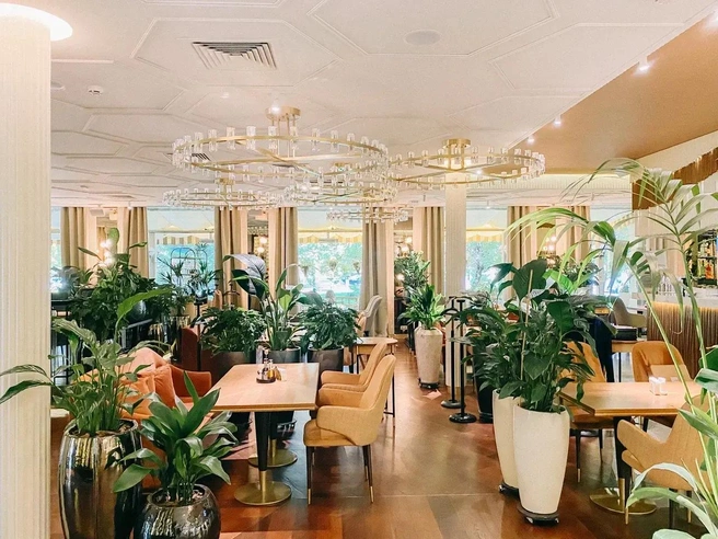 Интерьер заведения | Источник: mandarinfamily.ru