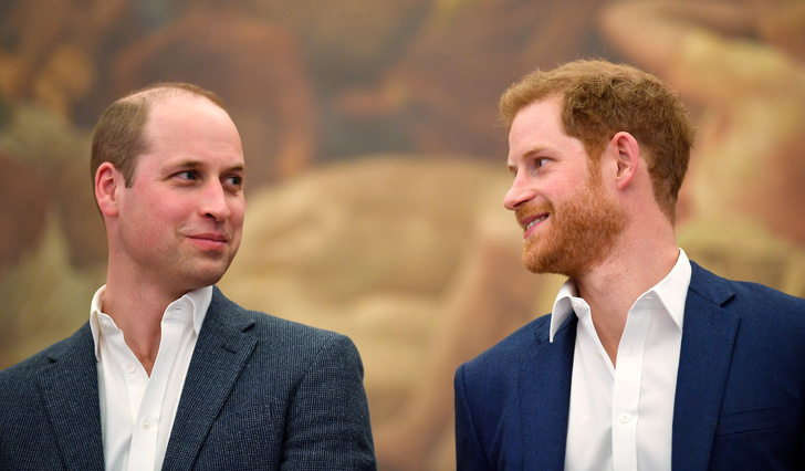 «Готовы перегрызть друг другу глотки»: принцы Уильям и Гарри снова разругались в пух и прах