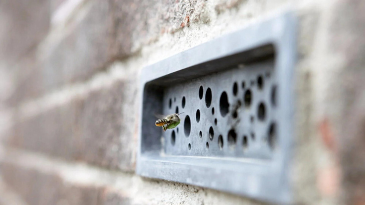 Британская компания выпустила серию «пчелиных» кирпичей