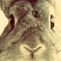 Аватарка nika69nika