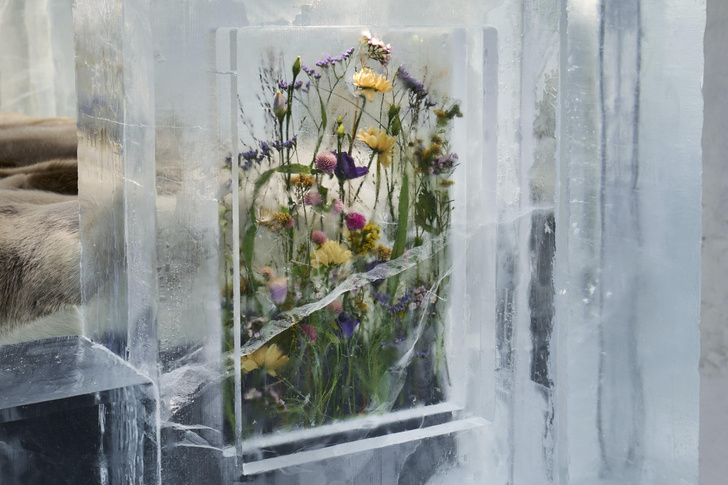 В ледяном отеле Швеции появился «цветочный» номер