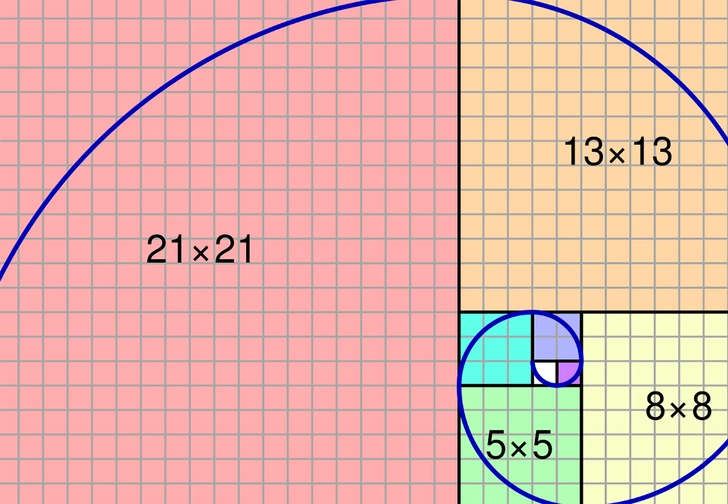 Самые неожиданные явления, в которых можно заметить золотое сечение (галерея)