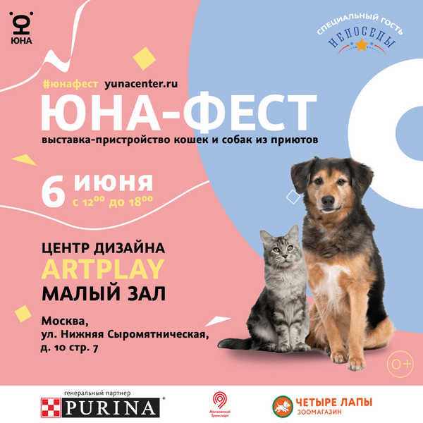 Выставка-пристройство кошек и собак из приютов «Юна-фест» состоится в Москве 6 июня