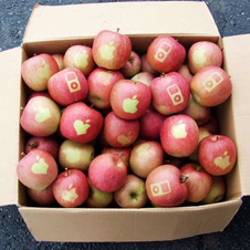 Яблоки от Apple