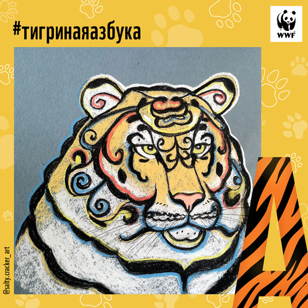 Фото №1 - Тигры от А до Я: WWF России и Woman.ru выпустили карточки об амурском тигре