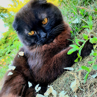 Аватарка Marinka