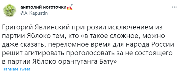 Лучшие шутки про орангутана Бату, из-за которого в Новосибирске разразился политический скандал