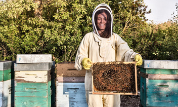 Опасный и вкусный дом: пчелы построили улей прямо в стенах дома