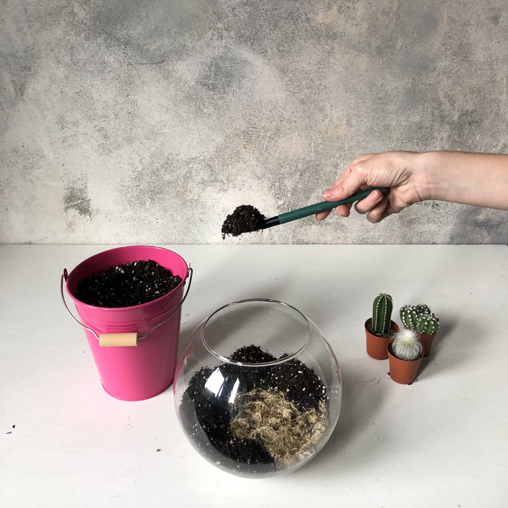 Как сделать зимний флорариум своими руками (фото 9)