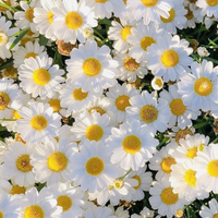 Аватарка Евгения